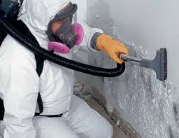 Best Mold Remediation for Healthcare Facilities in Temple, PA